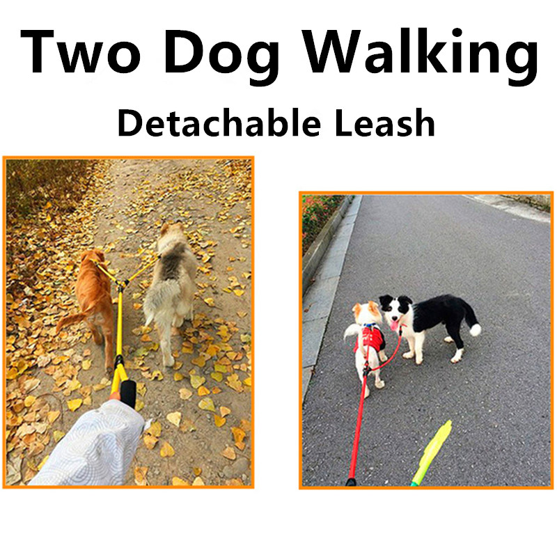 Laisse Double pour Chien, Acce - Leather Strap Quick Release avis et prix